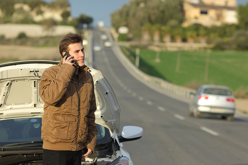 roadside